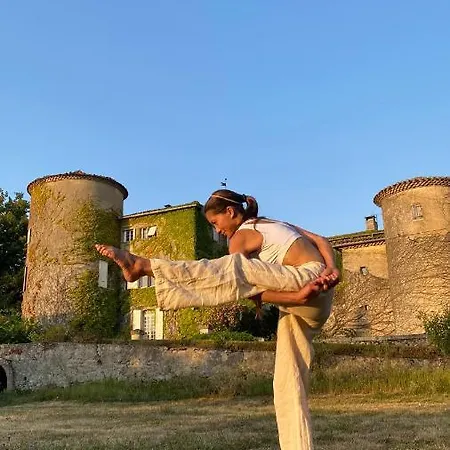 לינה וארוחת בוקר Chateau De Montcuquet