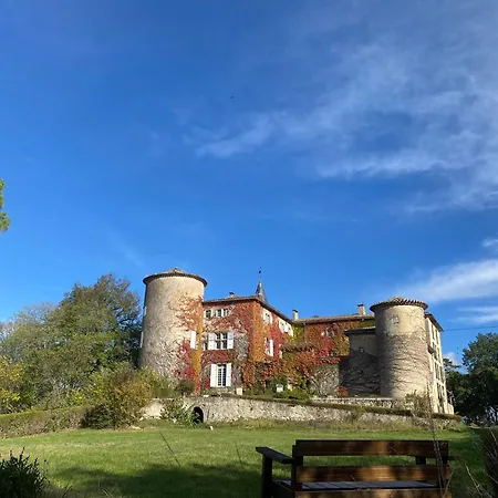 Chateau De Montcuquet 3* Lautrec