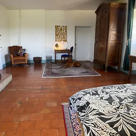 Chateau De Montcuquet Lautrec