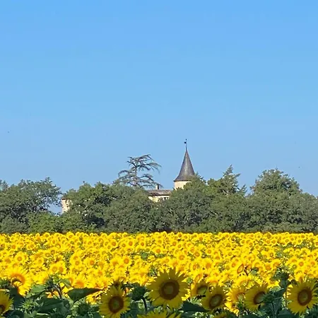 Chateau De Montcuquet Bed and Breakfast